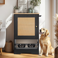 Elevated Dog Feeding Station with Hidden Storage Cabinet, Dual Bowls & Side Hooks — Black